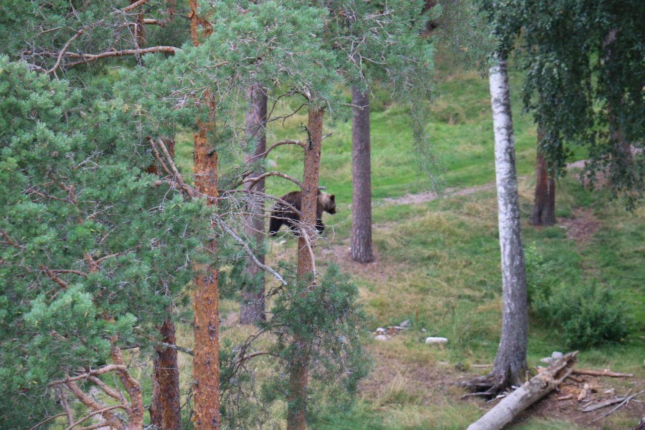 Bograngen Lgh D Lägenhet Brograngen Exteriör bild