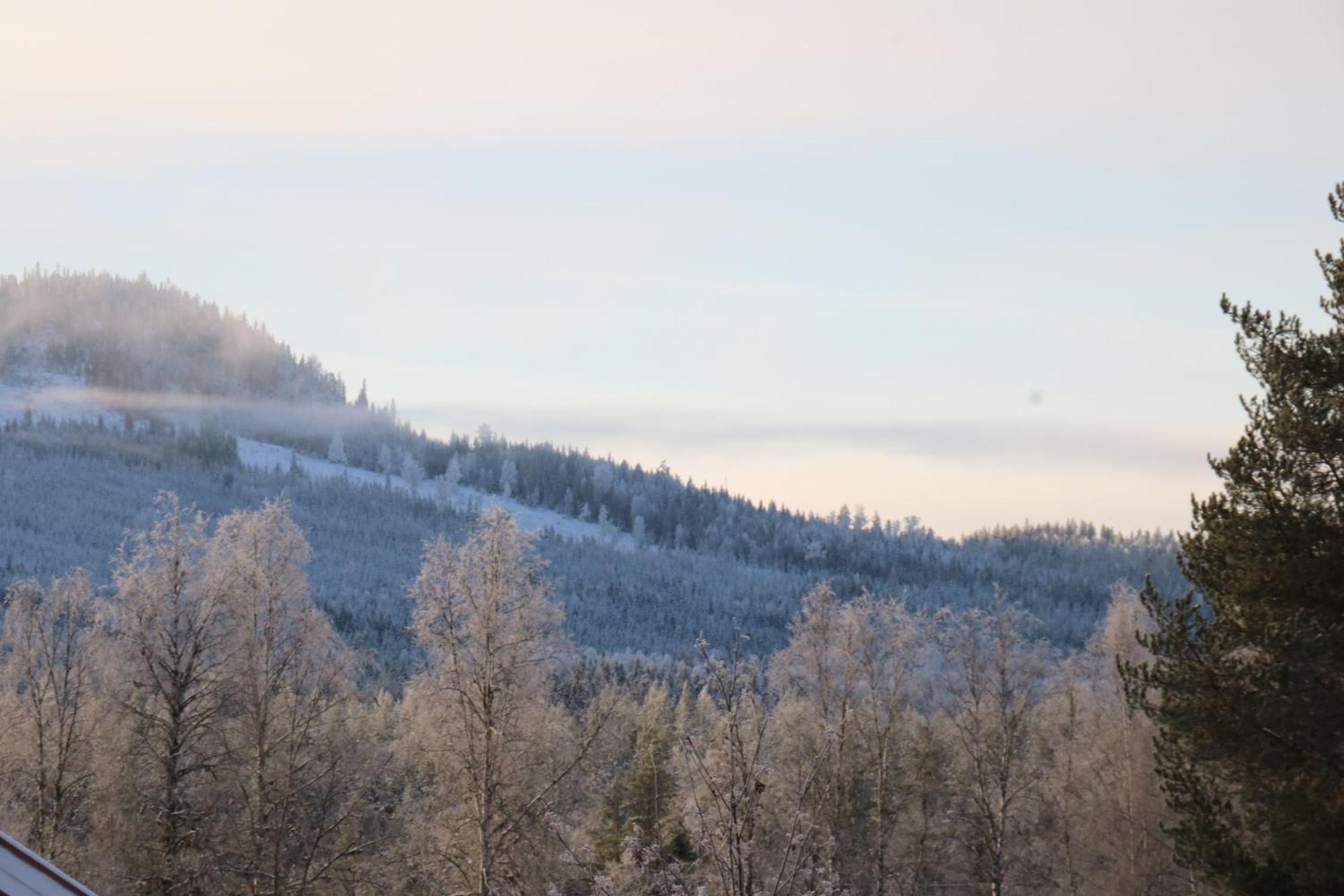 Bograngen Lgh D Lägenhet Brograngen Exteriör bild